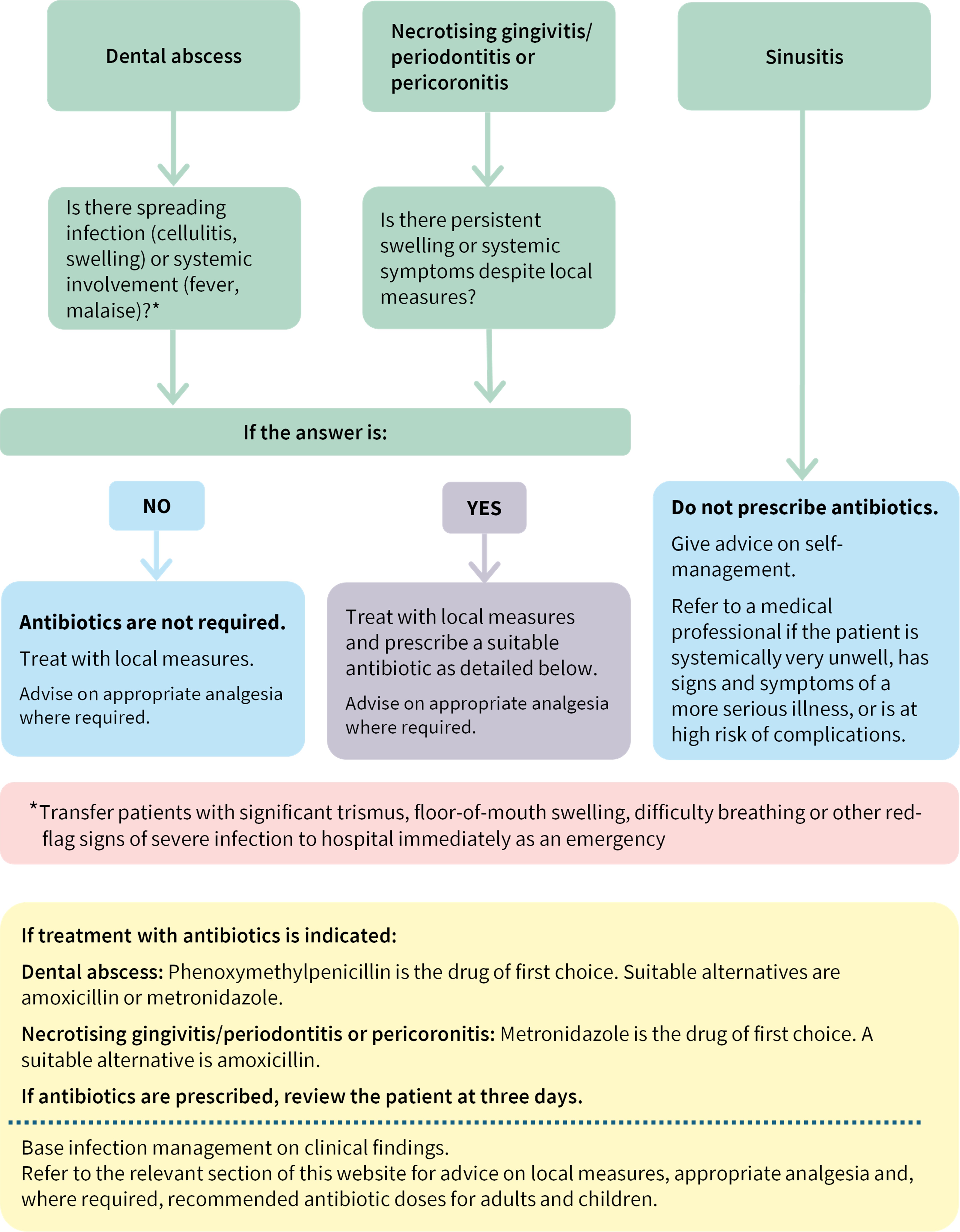 Image of a flowchart showing the management of a patient with an oral bacterial infection